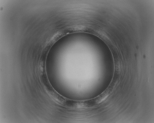 X0000074330264200609082039