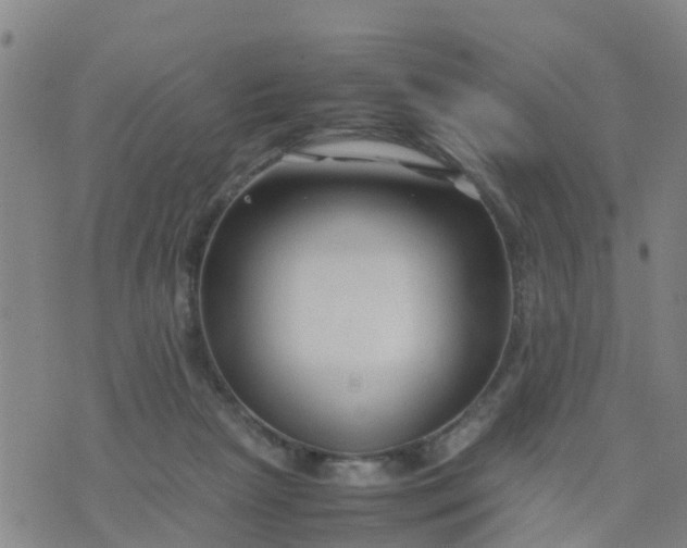 X0000074330265200609082039