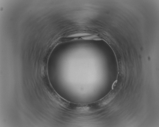 X0000074330266200609082039