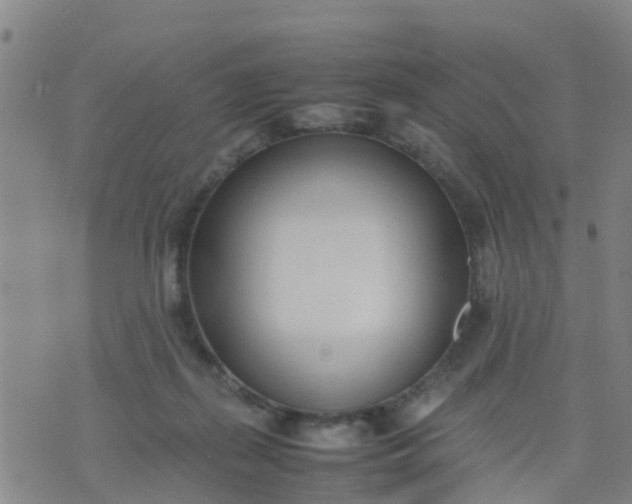 X0000074330267200609082039