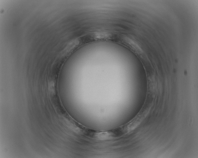 X0000074330269200609082039