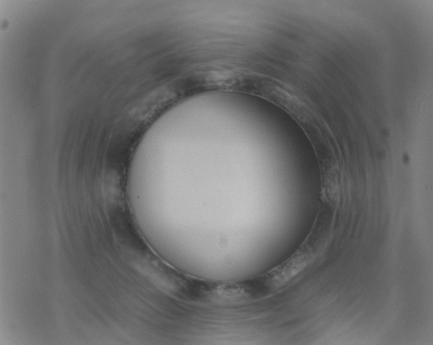 X0000074330270200609082039