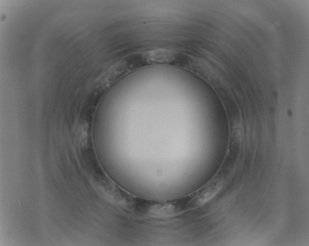 X0000074330271200609082039