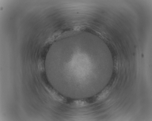 X0000074330272200609082039