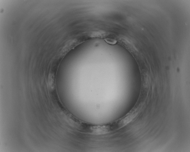 X0000074330273200609082039