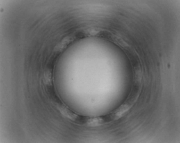 X0000074330274200609082040