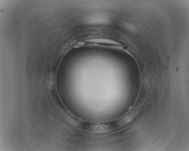 X0000074330277200609082040