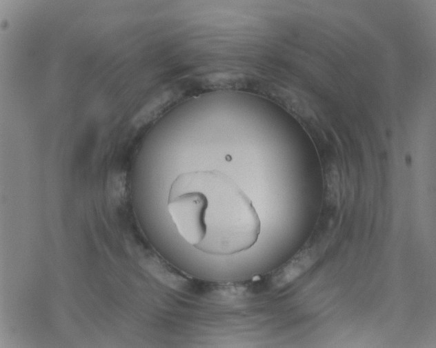 X0000074330278200609082040