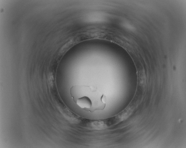 X0000074330279200609082040