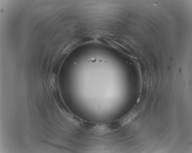 X0000074330280200609082040