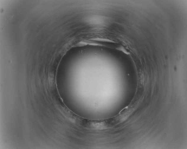 X0000074330283200609082040