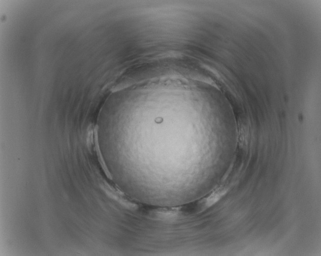 X0000074330284200609082040