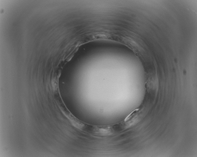 X0000074330285200609082040