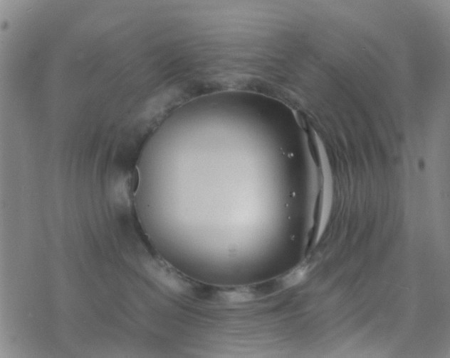 X0000074330286200609082040