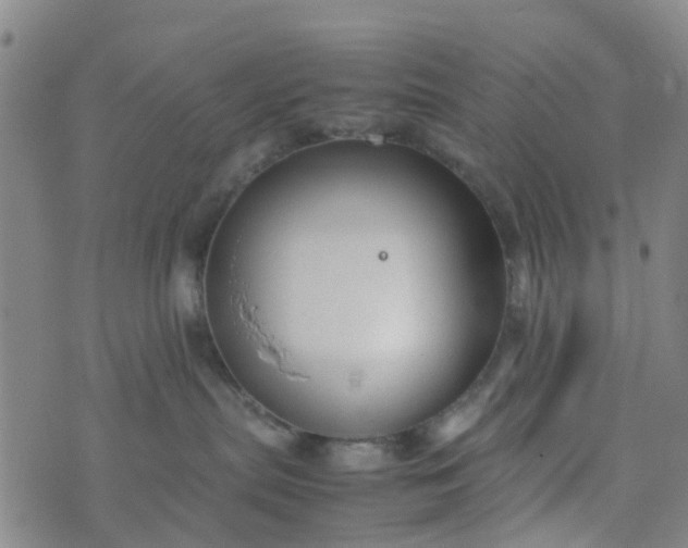 X0000074330287200609082040