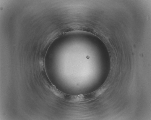 X0000074330288200609082040