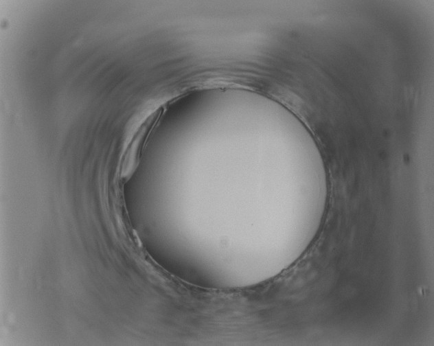 X0000074330289200609082039