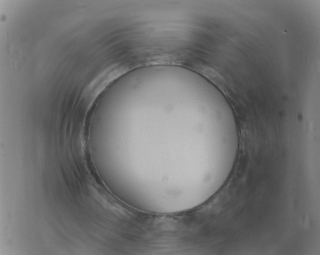 X0000074330290200609082039