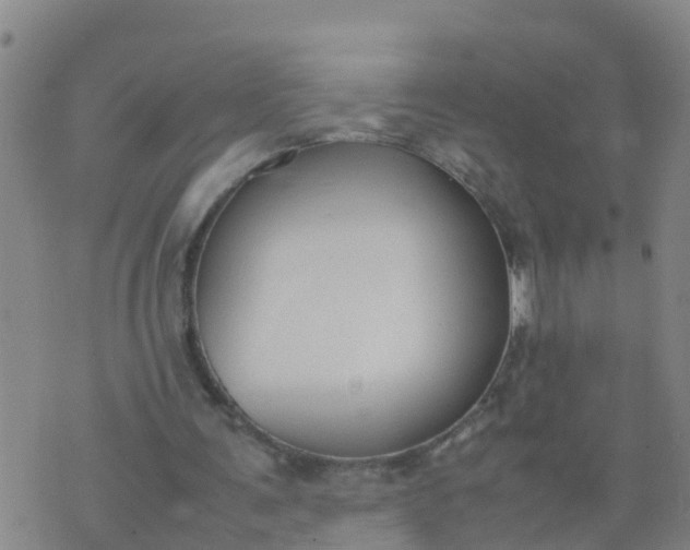 X0000074330291200609082039