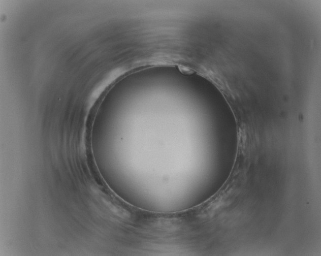 X0000074330292200609082039