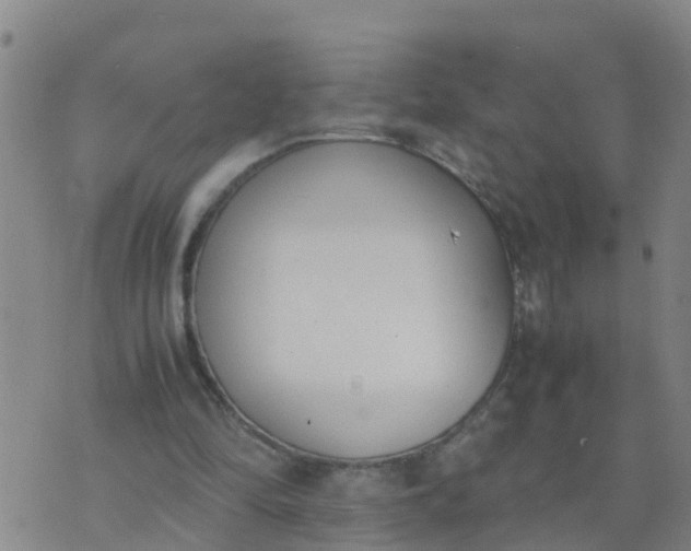 X0000074330294200609082039