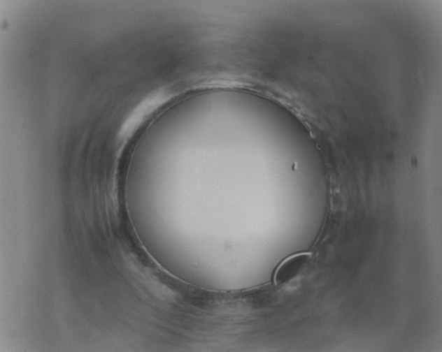 X0000074330296200609082039