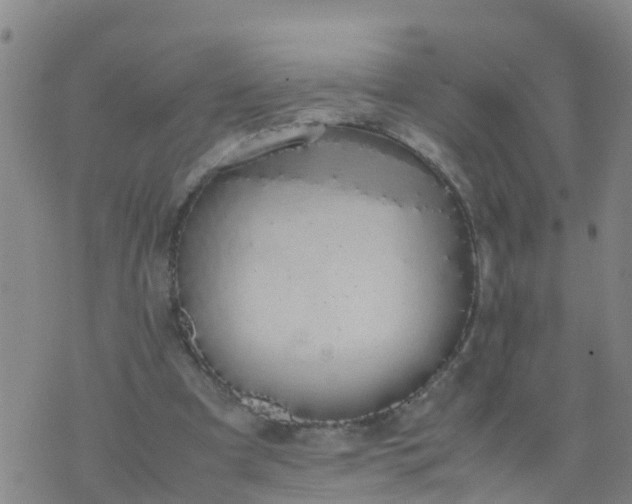 X0000074330297200609082039