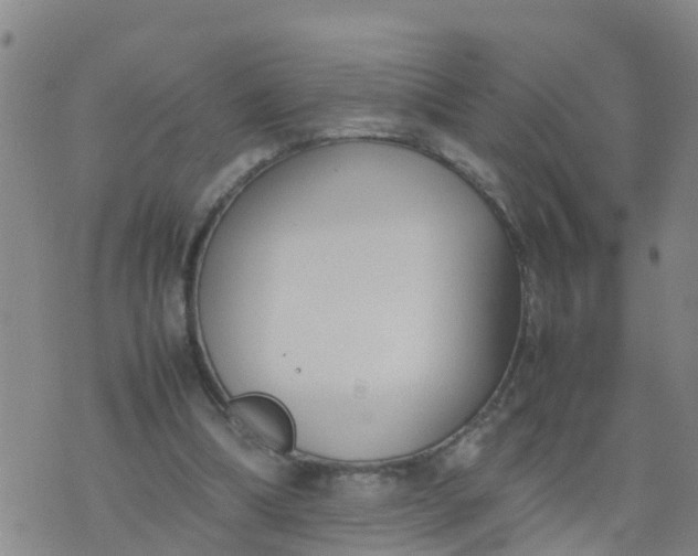 X0000074330298200609082039