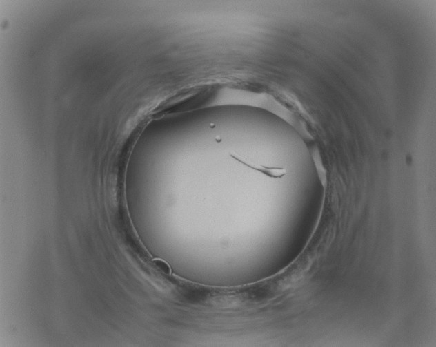 X0000074330299200609082039