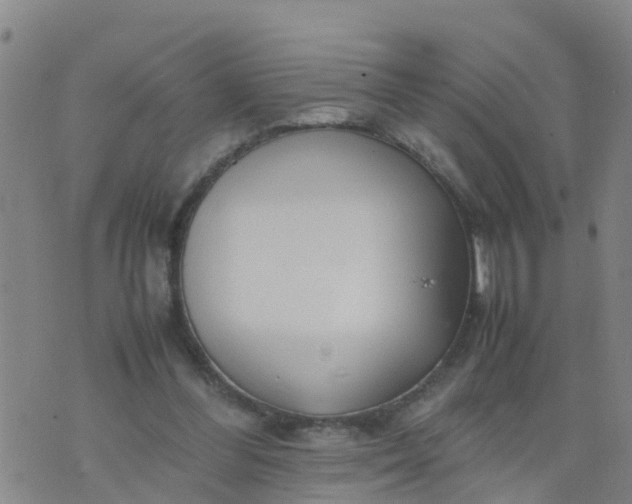 X0000074330300200609082039