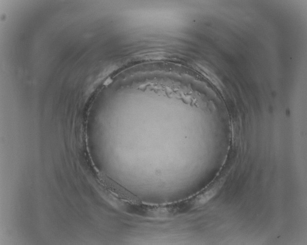 X0000074330301200609082039