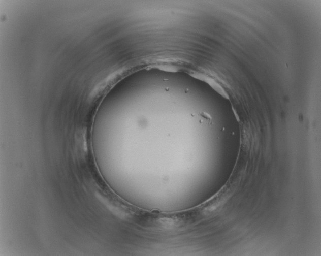 X0000074330302200609082039