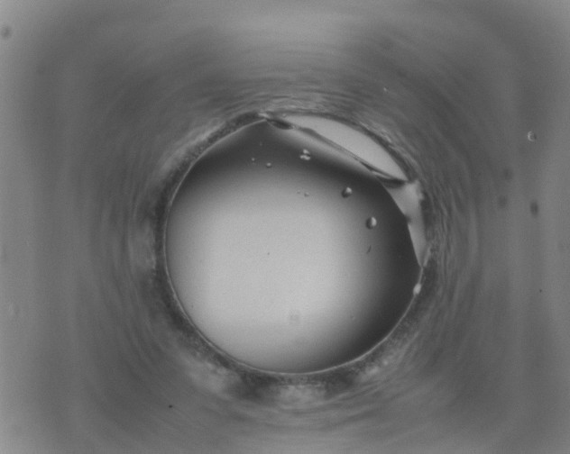 X0000074330303200609082039