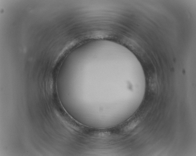 X0000074330304200609082039