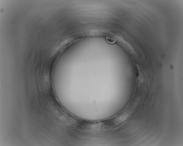 X0000074330306200609082039