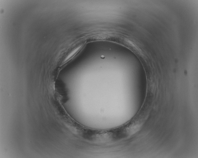 X0000074330307200609082039