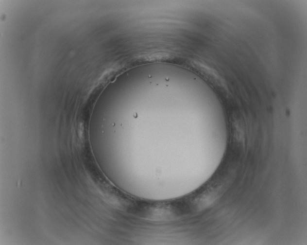 X0000074330308200609082039