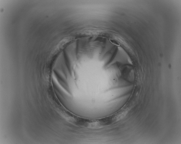 X0000074330309200609082039