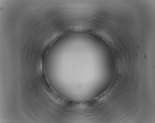 X0000074330310200609082039