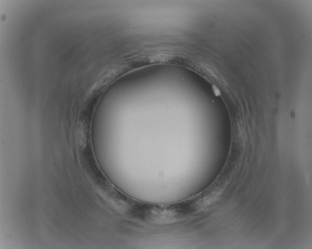 X0000074330311200609082039