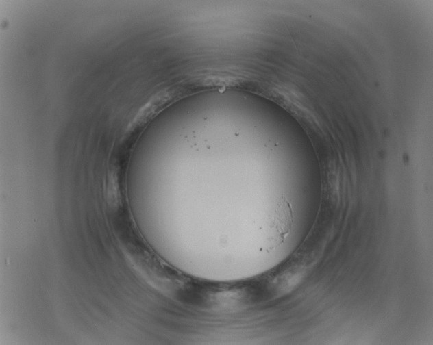 X0000074330312200609082039