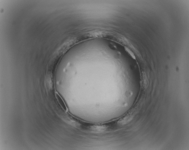 X0000074330313200609082039