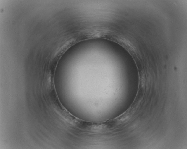 X0000074330314200609082039