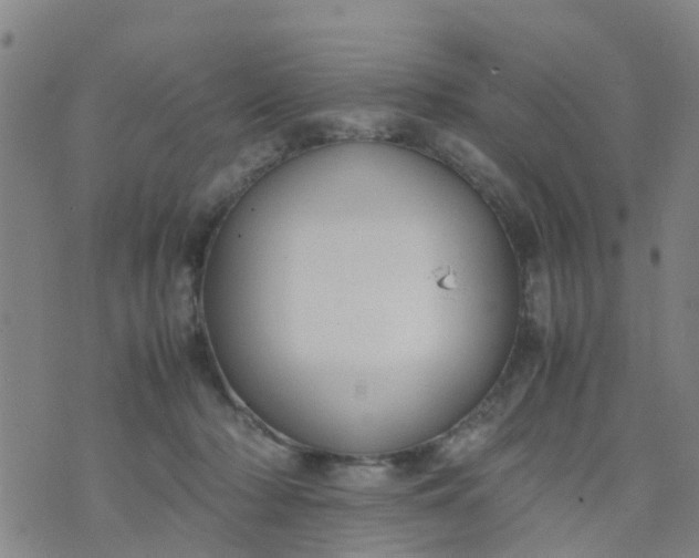 X0000074330318200609082038