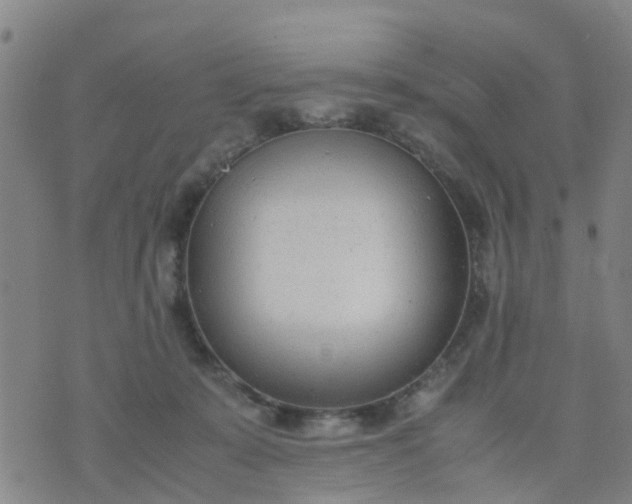 X0000074330319200609082038