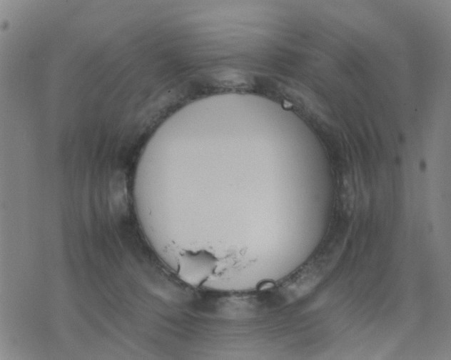 X0000074330320200609082038