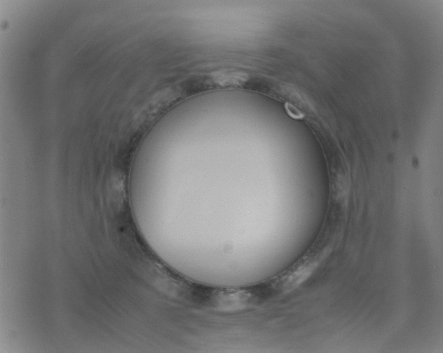 X0000074330321200609082038