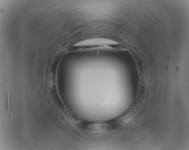 X0000074330323200609082038