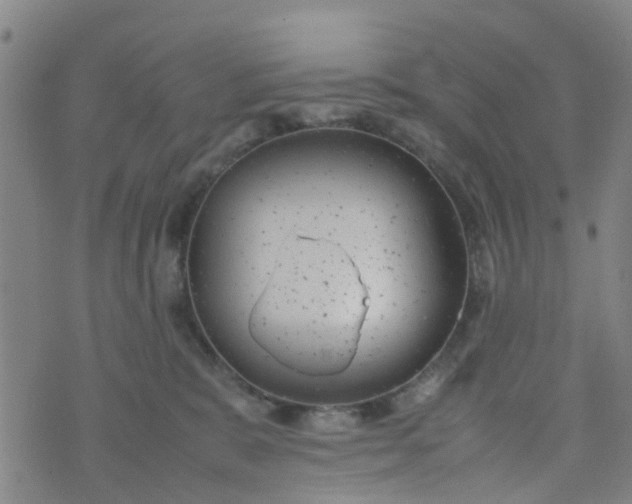 X0000074330327200609082038