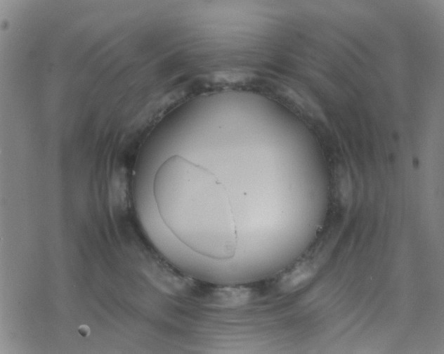 X0000074330328200609082038